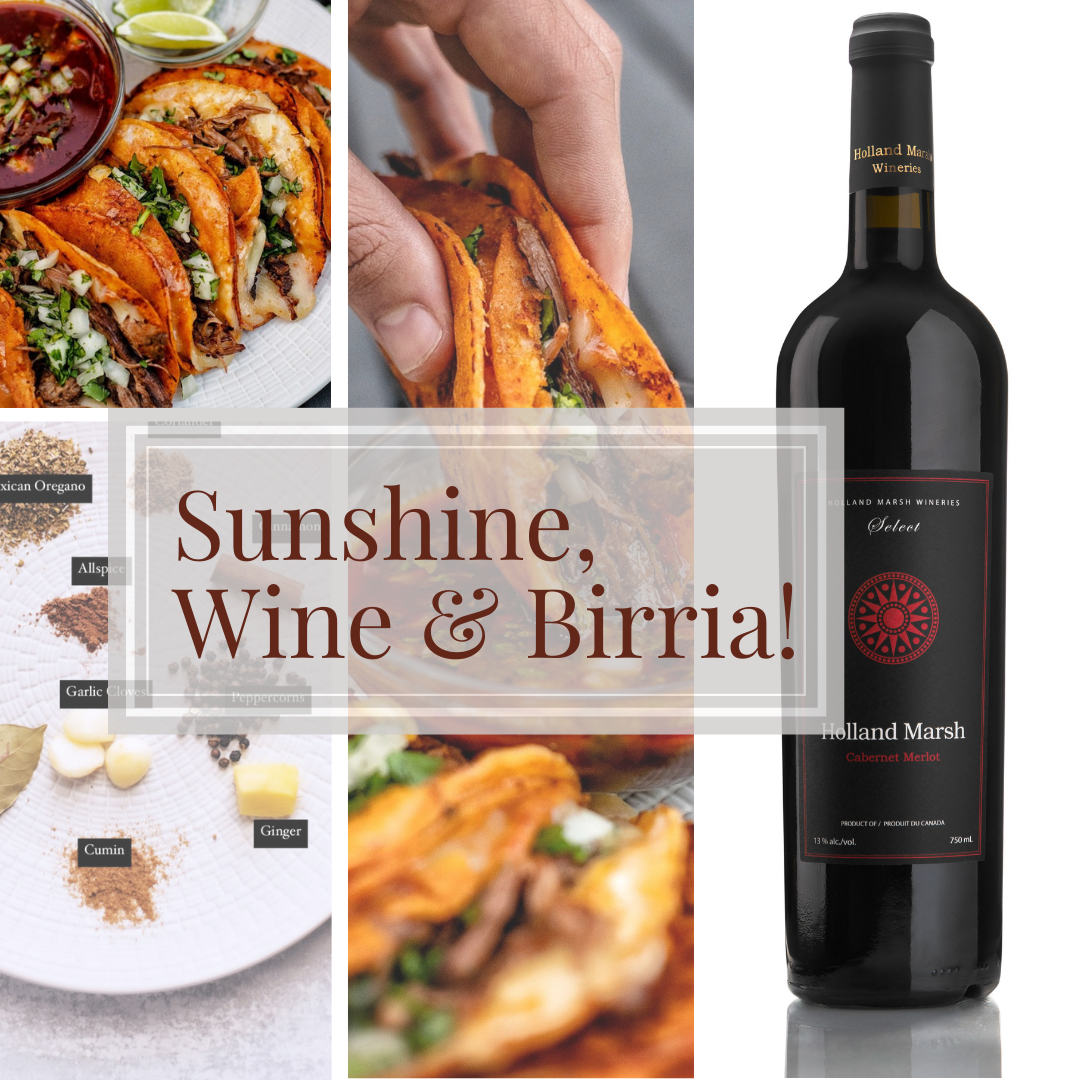 Sunshine, Wine, and Birria!